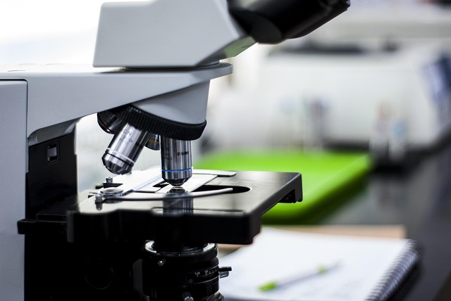 對(duì)比不同品牌有機(jī)錫T-9的純度差異對(duì)聚氨酯泡沫孔徑大小和均勻度的影響值